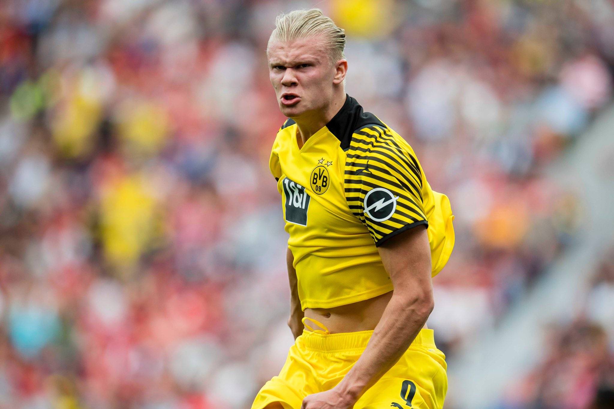 谢谢你湖人侠！东契奇罚球时，全场球迷高喊“谢谢哈里森”[2...50]